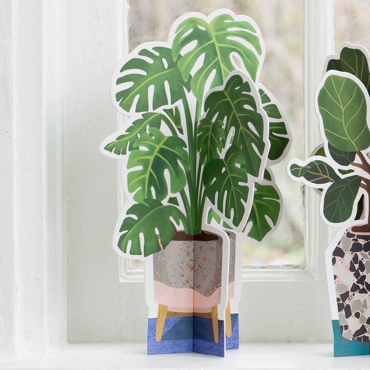 Monstera Plant Fold-Out Card