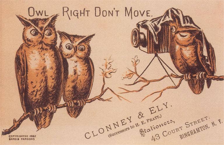 Postcard BD-524 Owl Right Don't Move