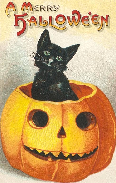 Greeting Card HW-05 A Merry Halloween, Cat in Jack O'Lantern