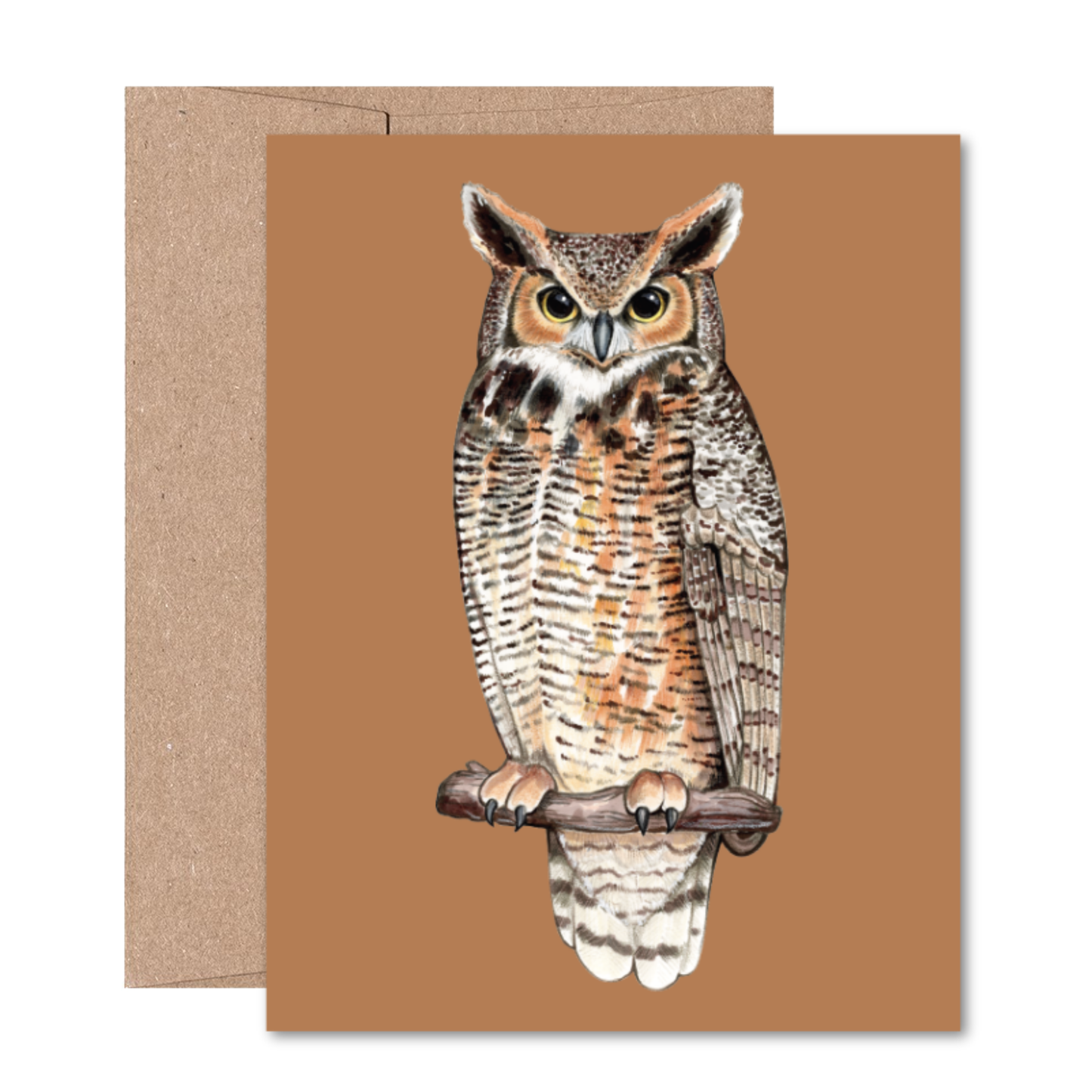 North American Owls Boxed Card Set (8 Cards)