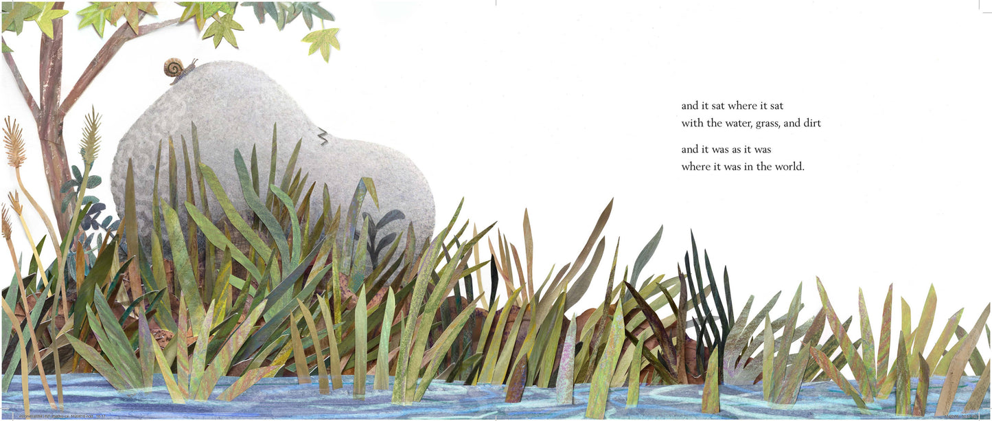 A Stone Sat Still by Brendan Wenzel