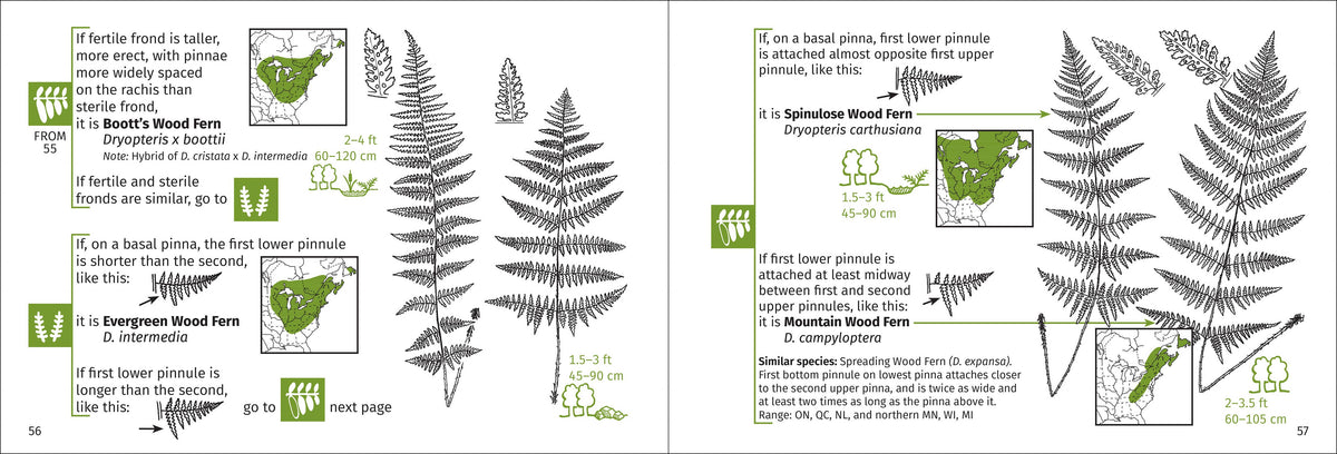 Fern Finder Eastern 3rd Edition