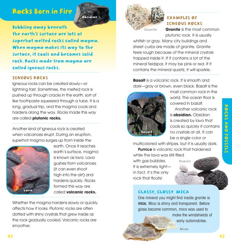 Walk in the Woods by Emily Laber-Warren