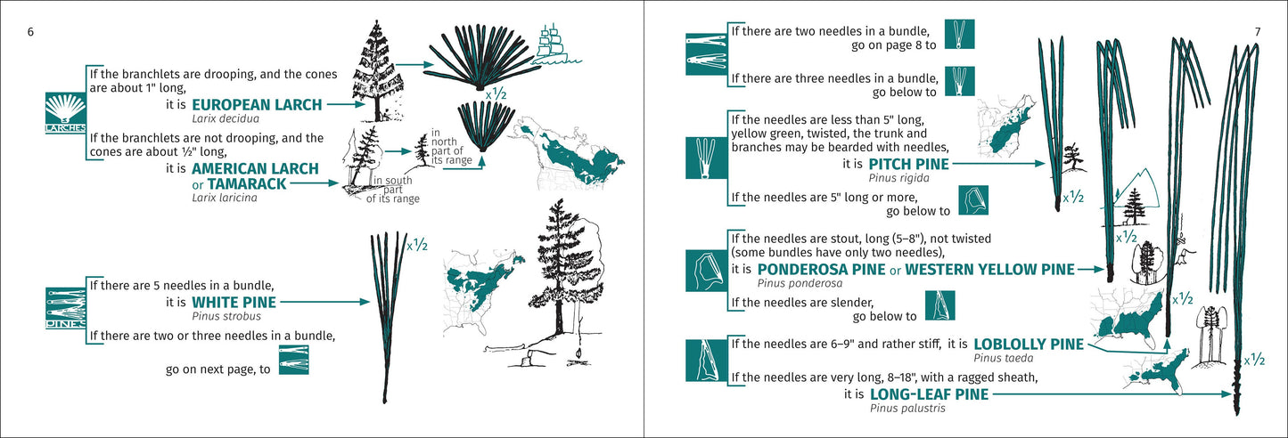 Tree Finder Eastern 3rd Edition