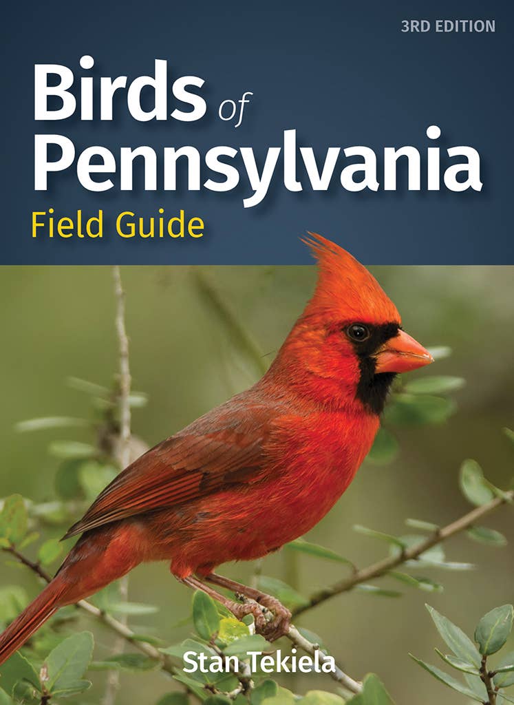 Birds of Pennsylvania Field Guid, 3rd Edition (Paperback)