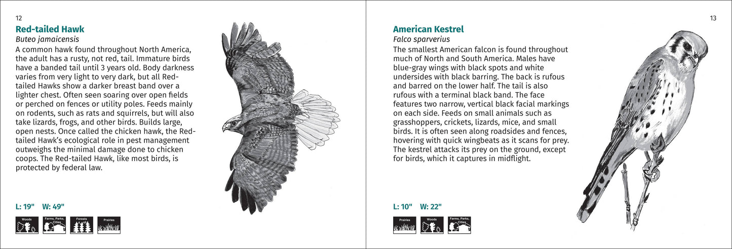 Bird Finder 2nd Edition