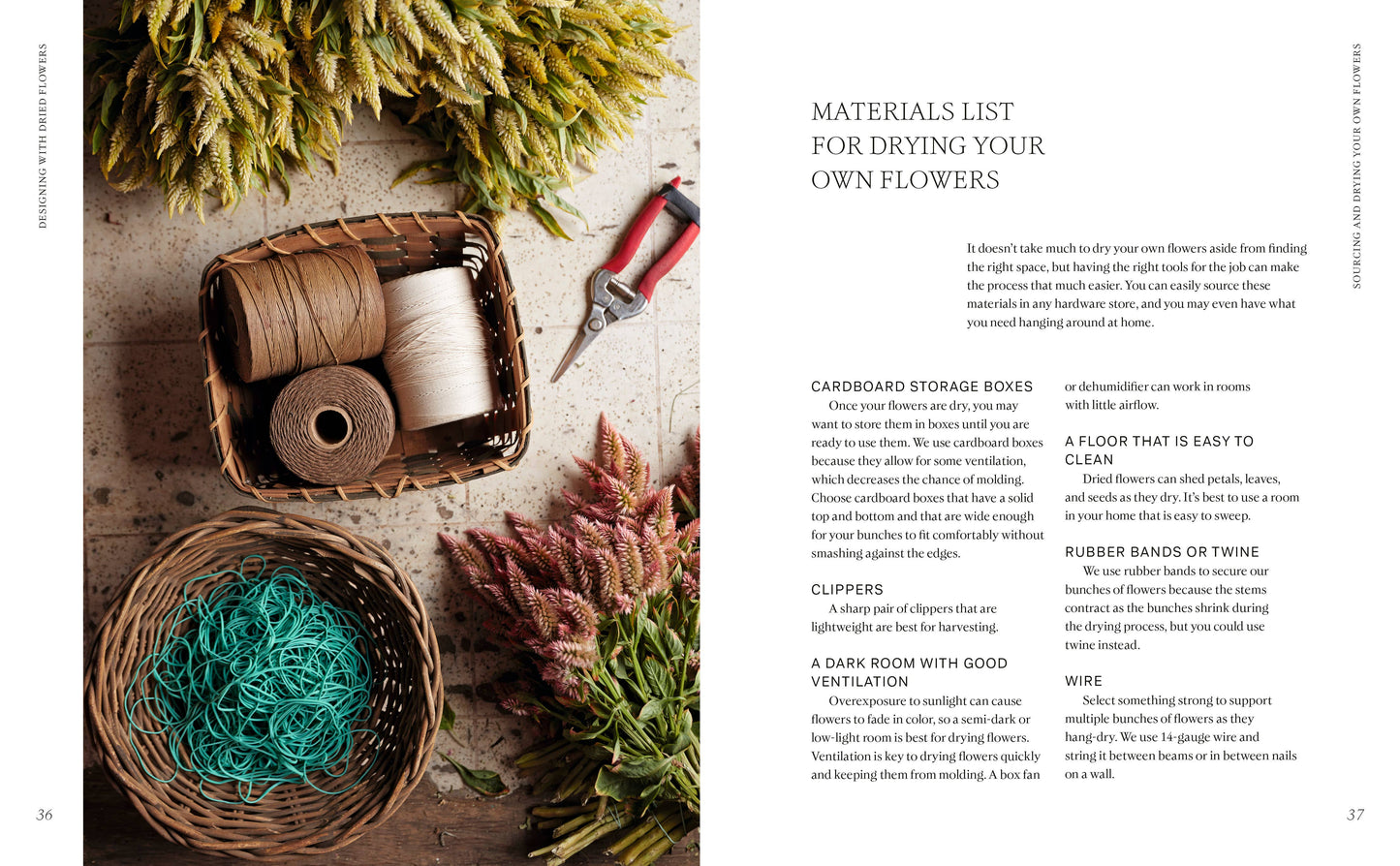 Designing with Dried Flowers by Hannah Muller (Hardcover)