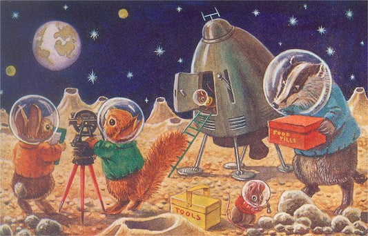 Postcard OS-53 Woodland Creatures on the Moon