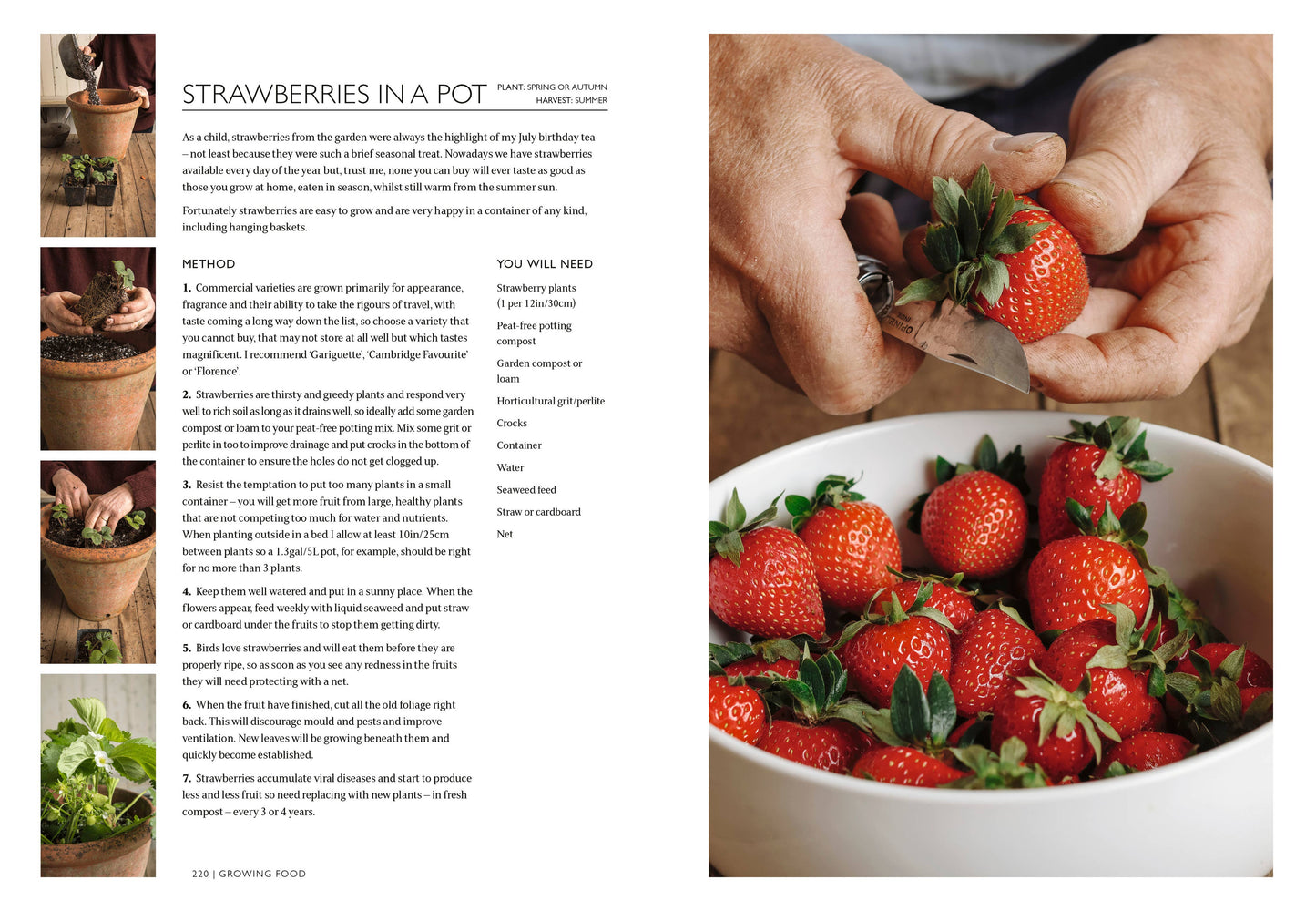 The Gardening Book