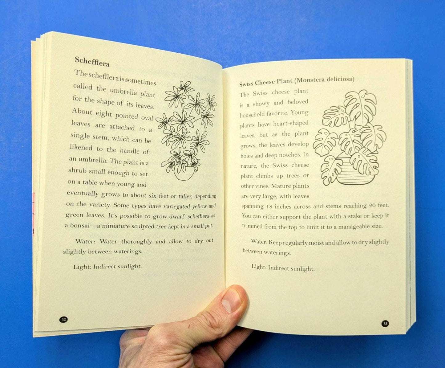 A People's Guide to Houseplants: Fill Your Home with Plants