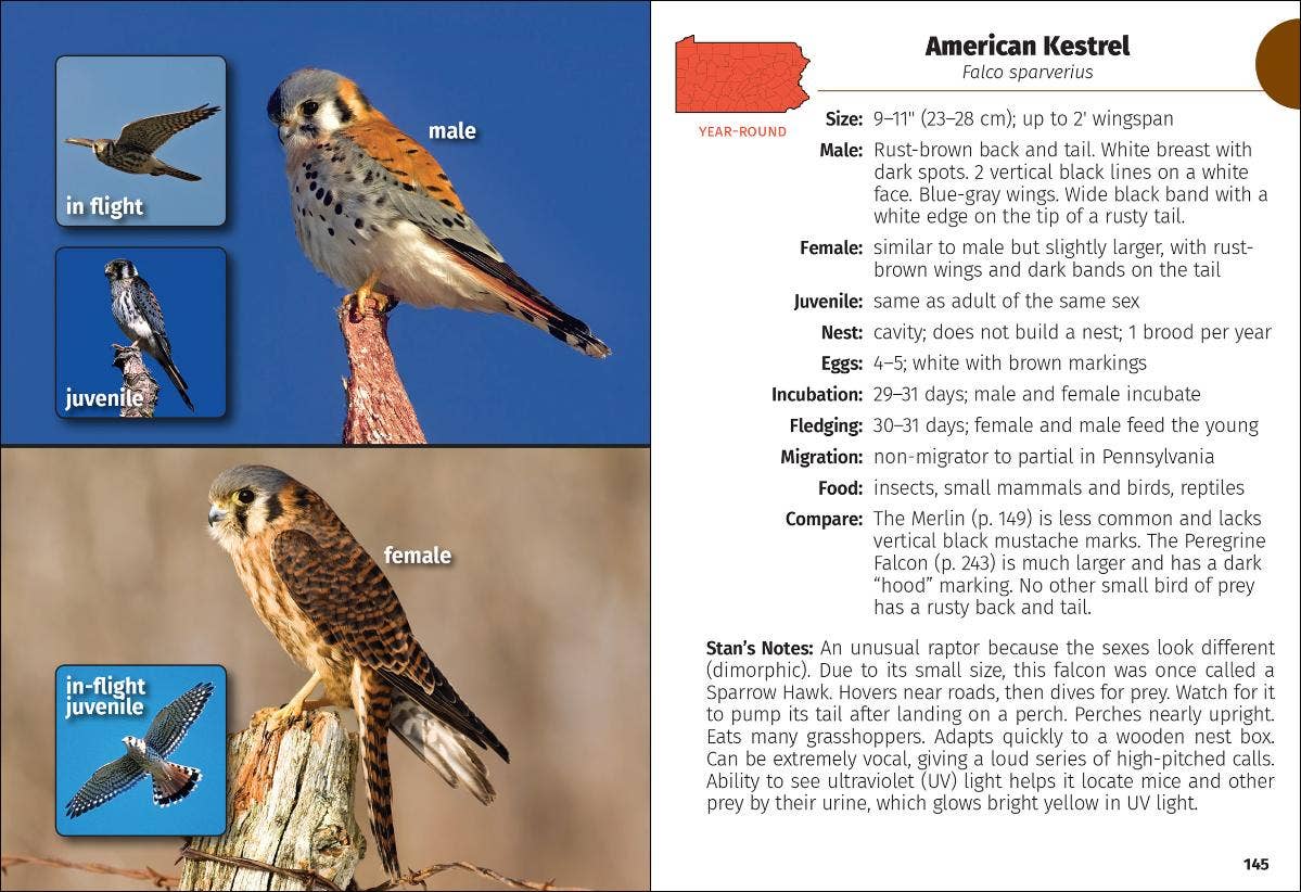 Birds of Pennsylvania Field Guid, 3rd Edition (Paperback)