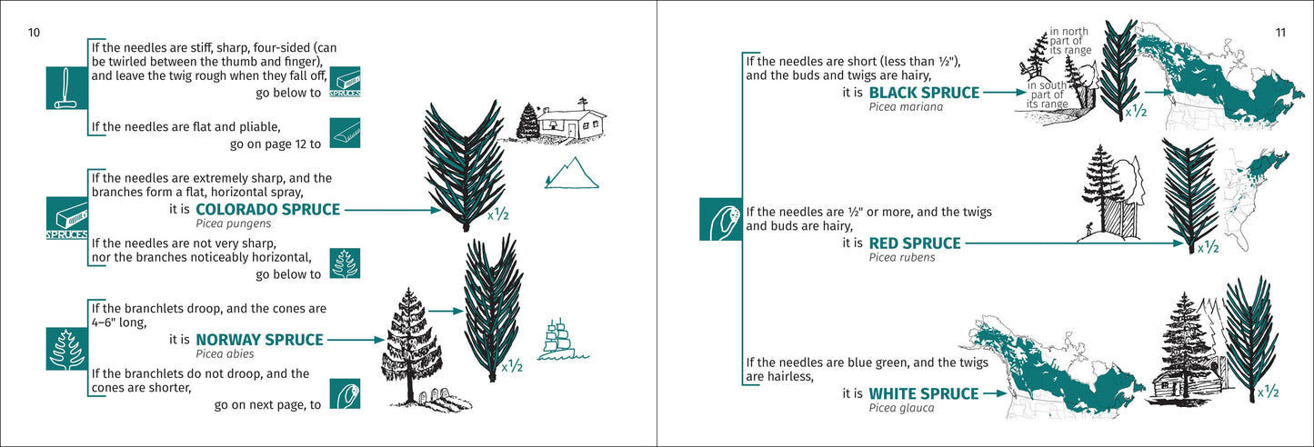 Tree Finder Eastern 3rd Edition