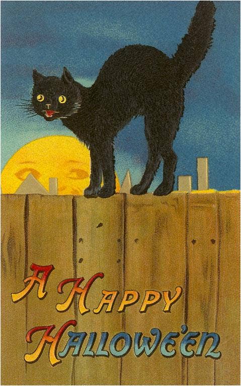 Greeting Card HW-101 A Happy Halloween, Cat on Fence