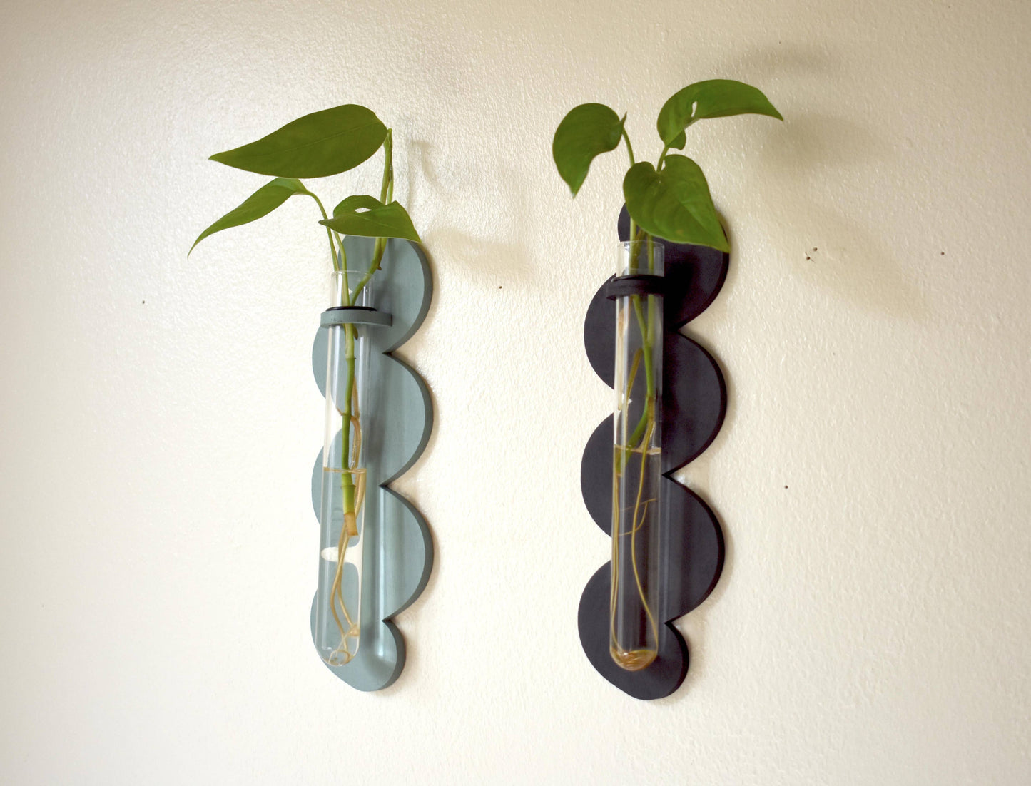 Wiggle Plant Propagator - Wall Hanging