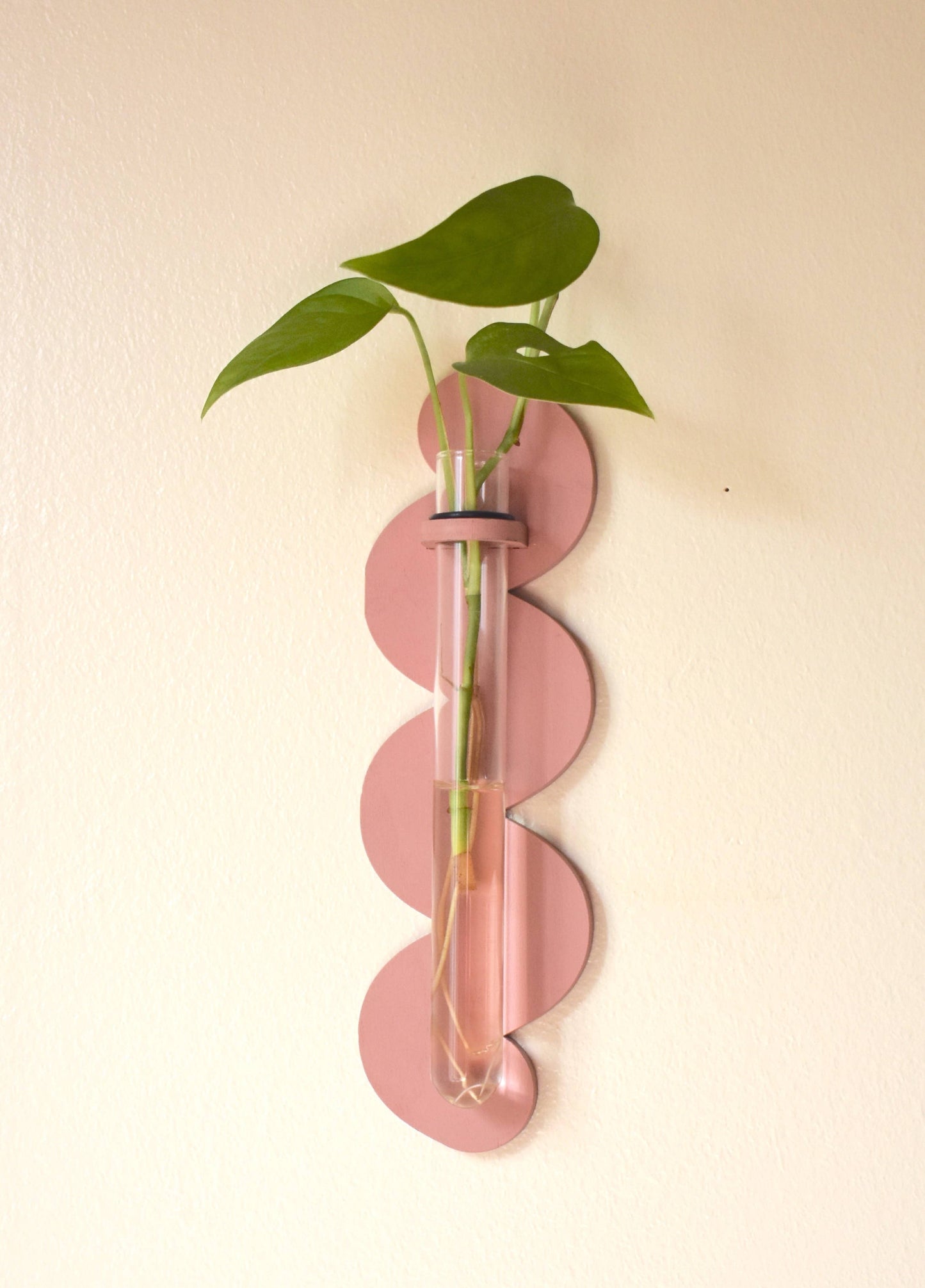 Wiggle Plant Propagator - Wall Hanging