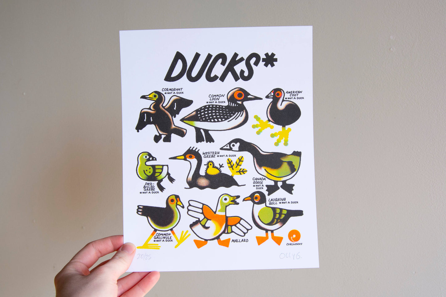 Ducks (not a duck) - 8x10" Risograph Print