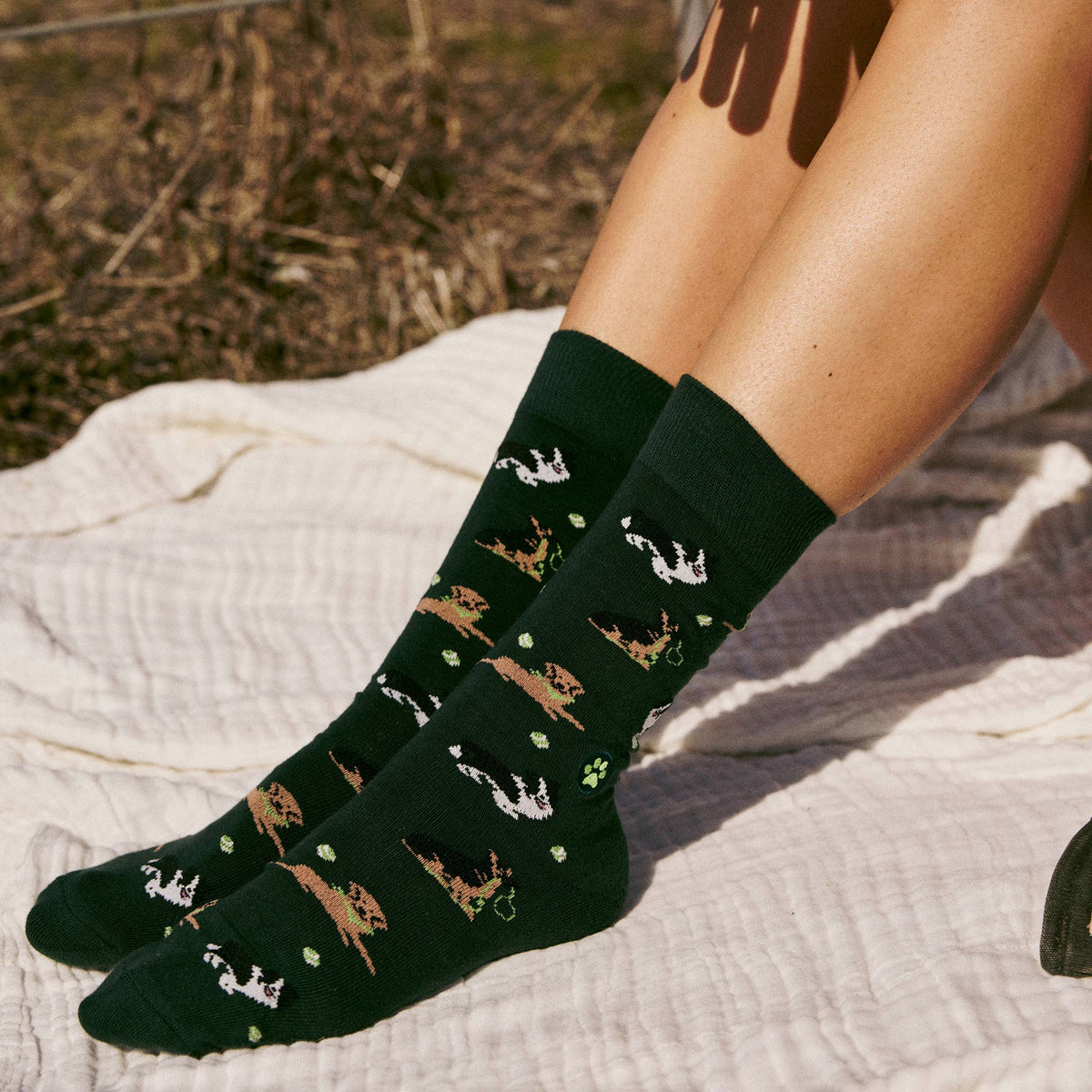 Socks that Save Dogs | Go Fetch - Gifts for Dog People