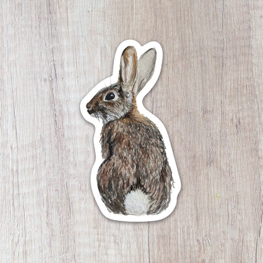 Cottontail Rabbit Sticker