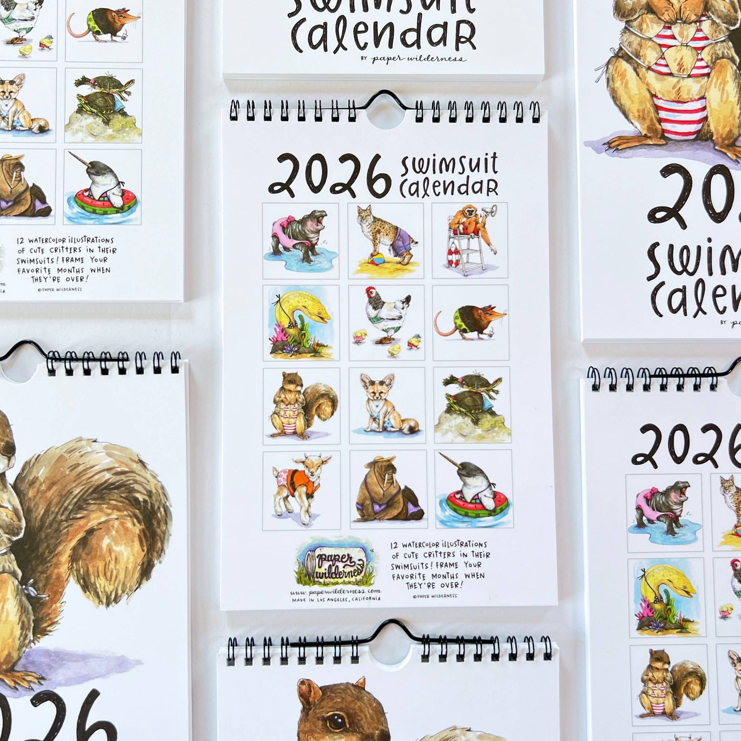 2026 Swimsuit Calendar