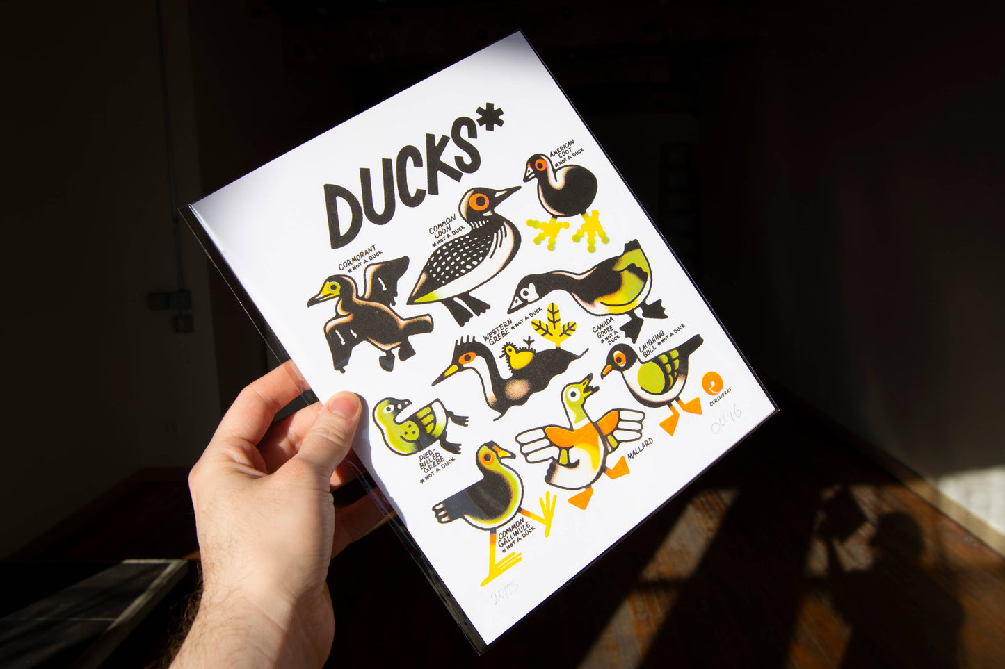 Ducks (not a duck) - 8x10" Risograph Print