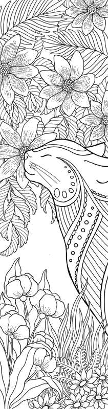 Cats Coloring Bookmarks by Rockpool  Publishing