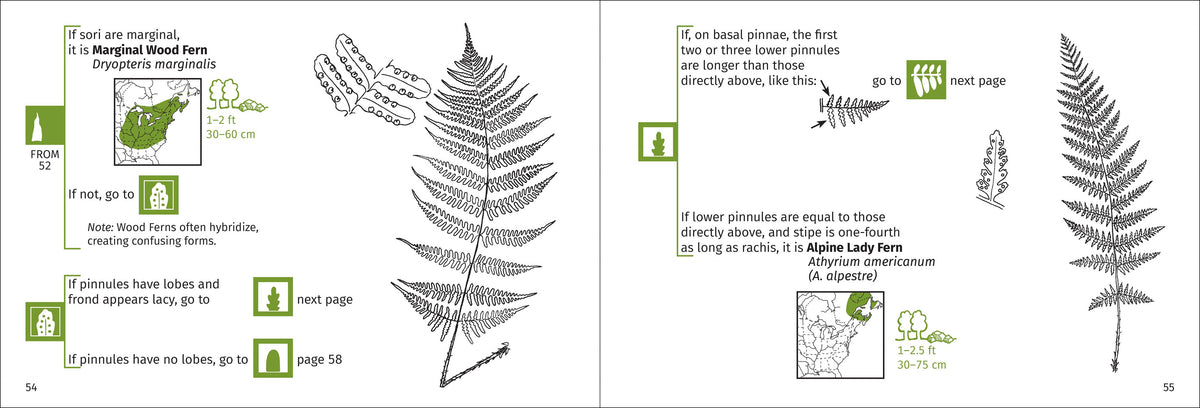 Fern Finder Eastern 3rd Edition