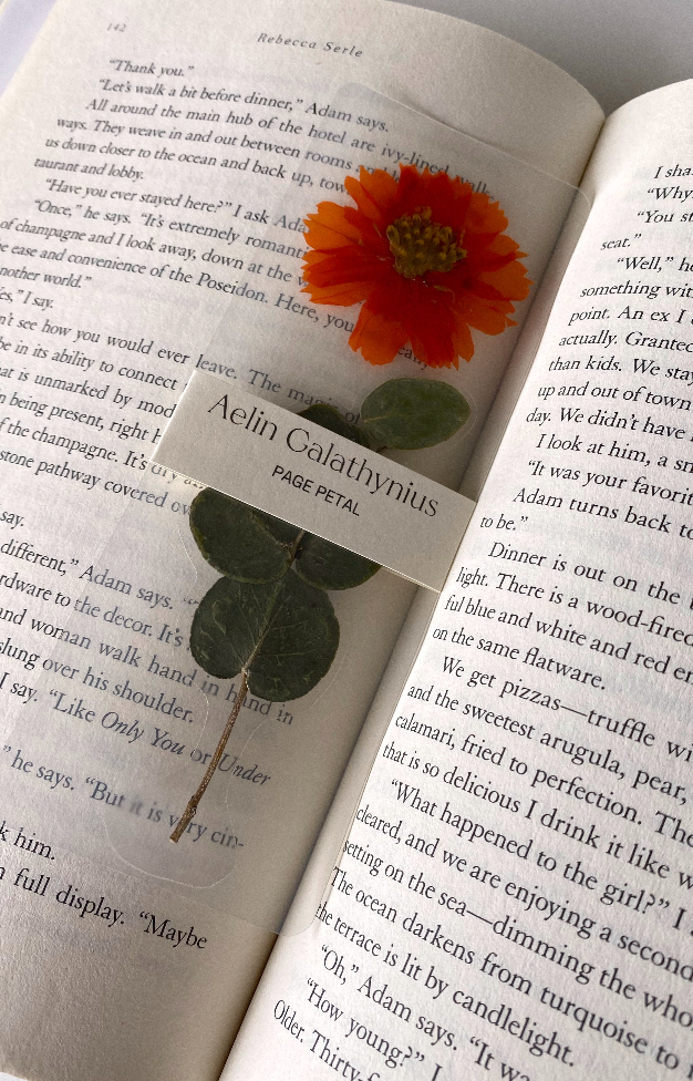 Aelin Galathynius Bookmark