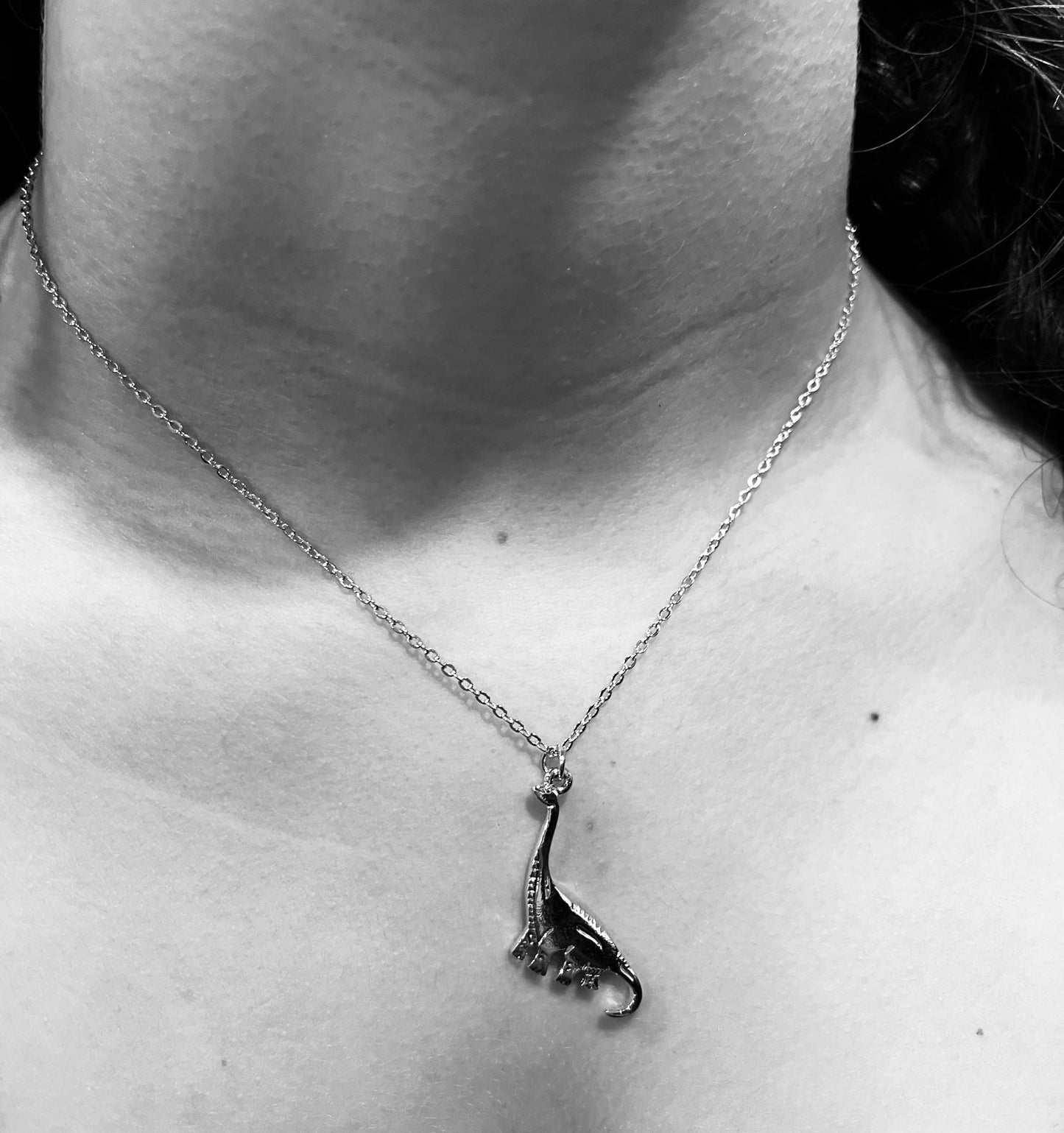 Apatosaurus Dinosaur Necklace  silver Natural History