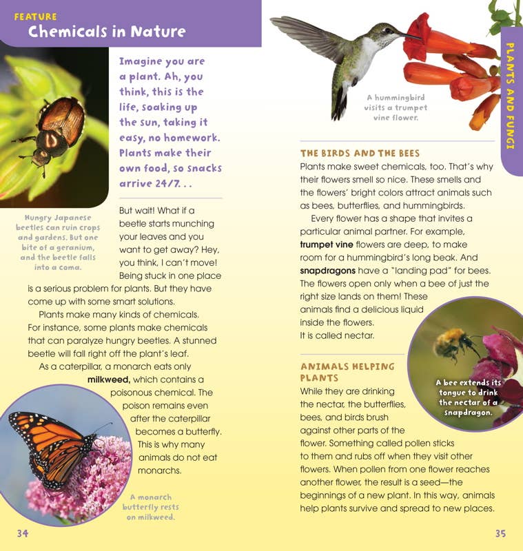 Walk in the Woods by Emily Laber-Warren