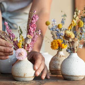 Designing with Dried Flowers by Hannah Muller (Hardcover)