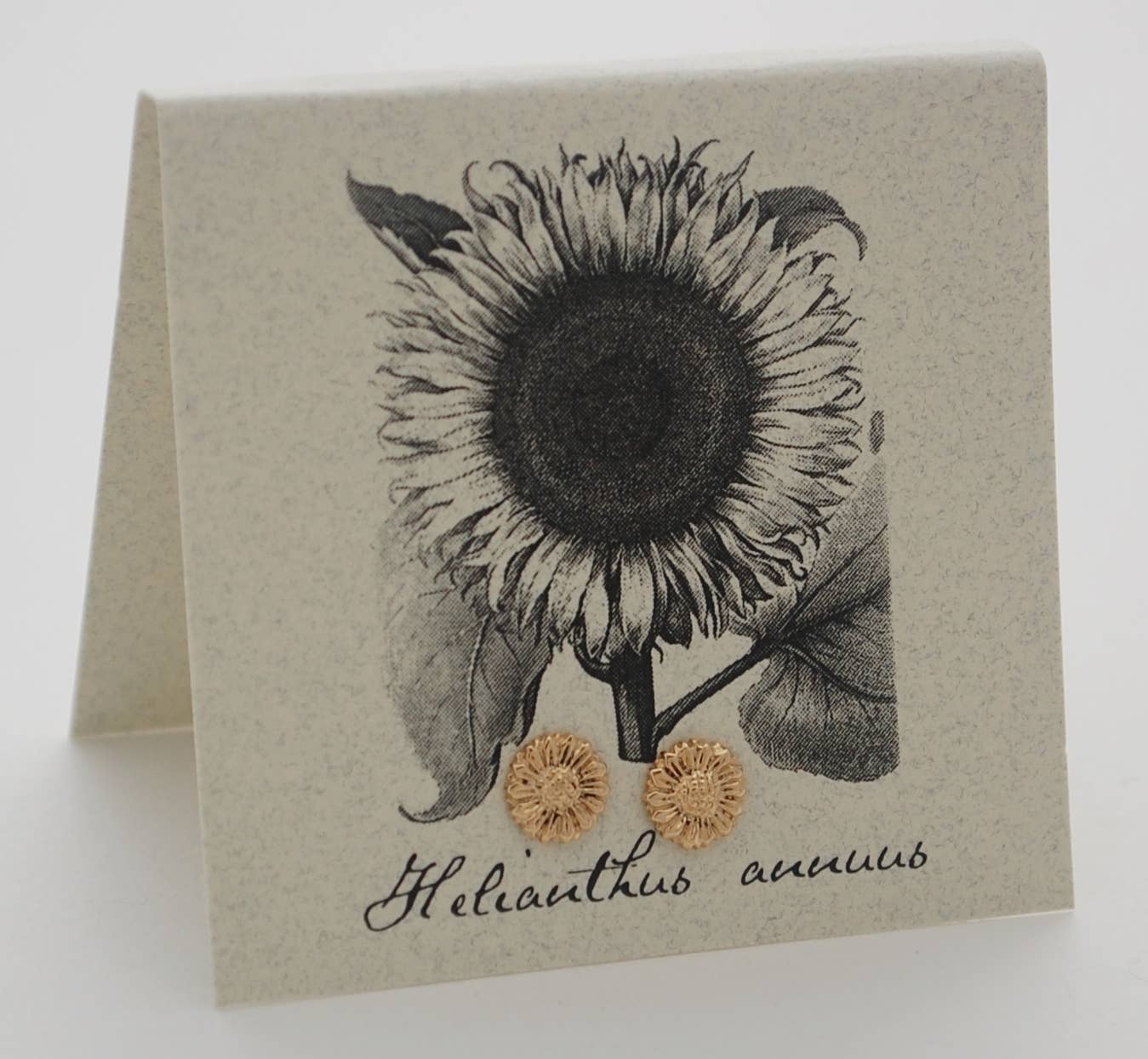 Sunflower Stud Earrings -  gold  Natural History