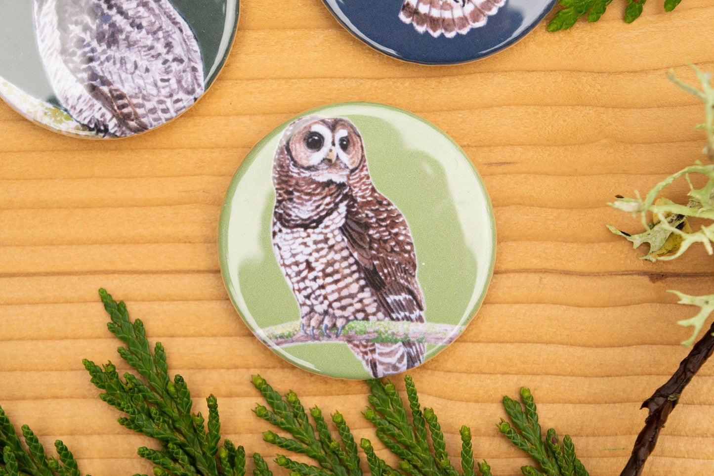 Owls 1.75" round magnets