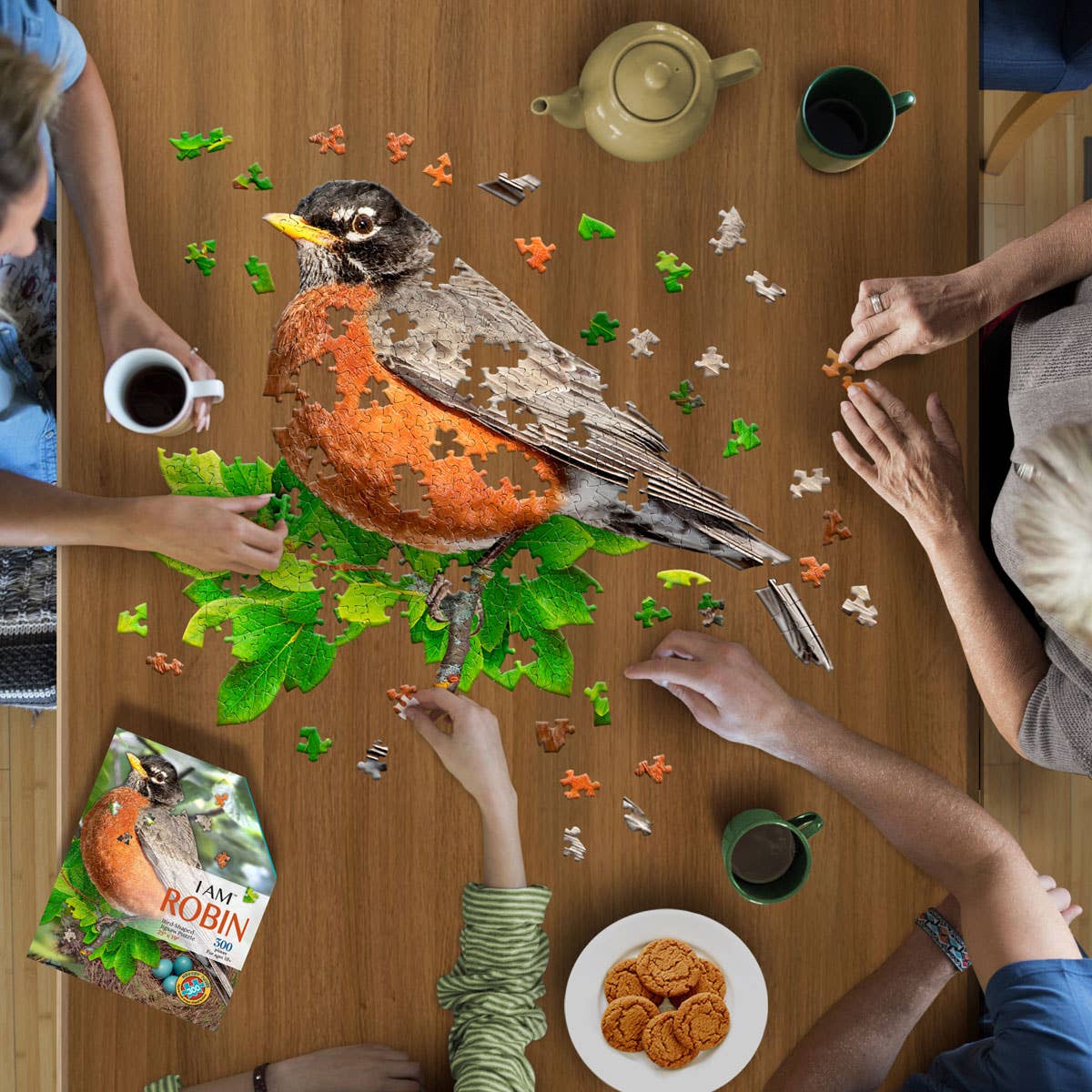 I AM ROBIN 300 piece jigsaw puzzle gift