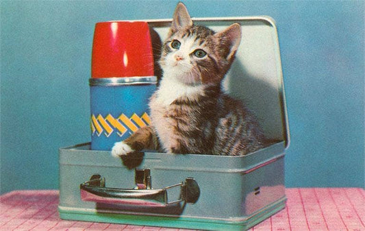 Postcard NP-181 Kitten in a Lunchbox