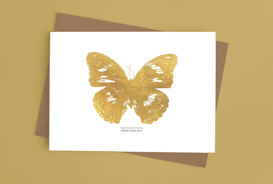 Butterfly Gold Foil Notecards - 4 Pack