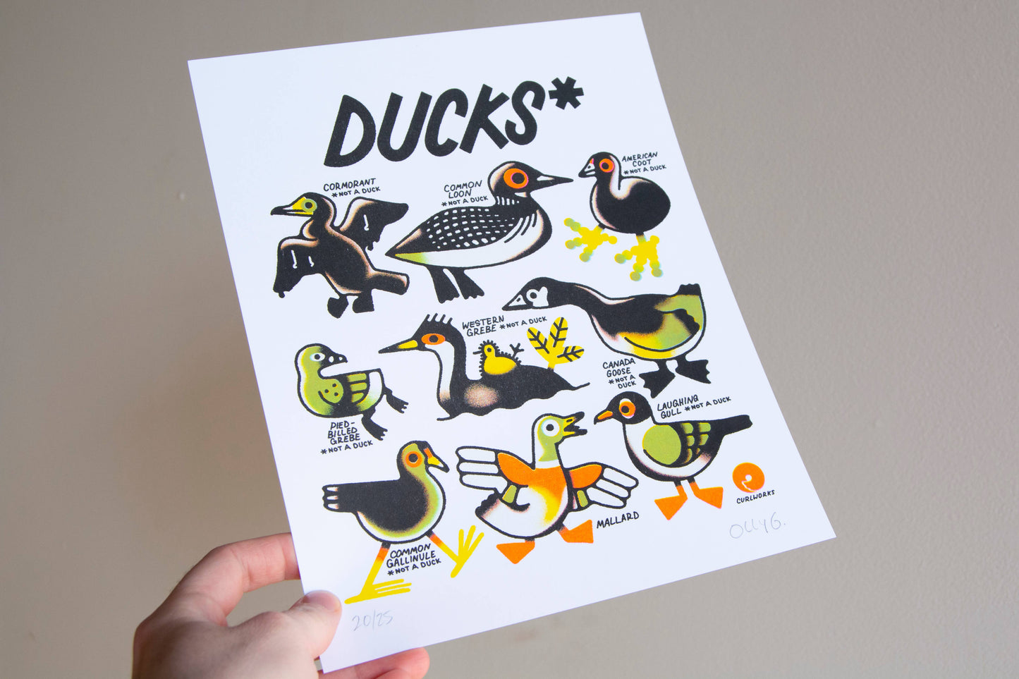 Ducks (not a duck) - 8x10" Risograph Print