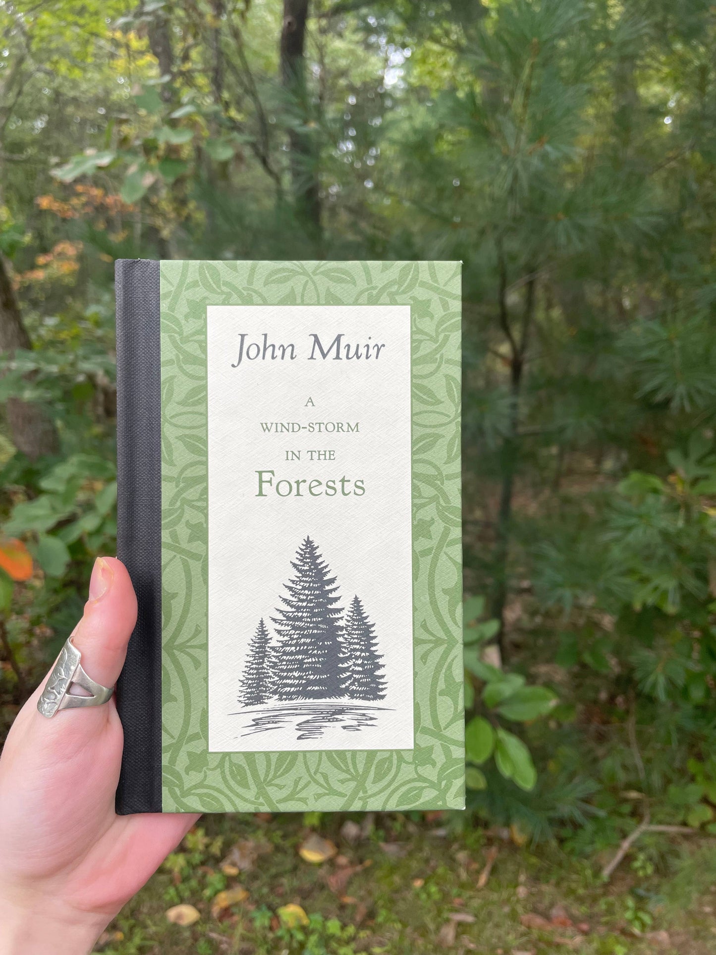 A Wind-Storm in the Forests by John Muir (Hardcover)