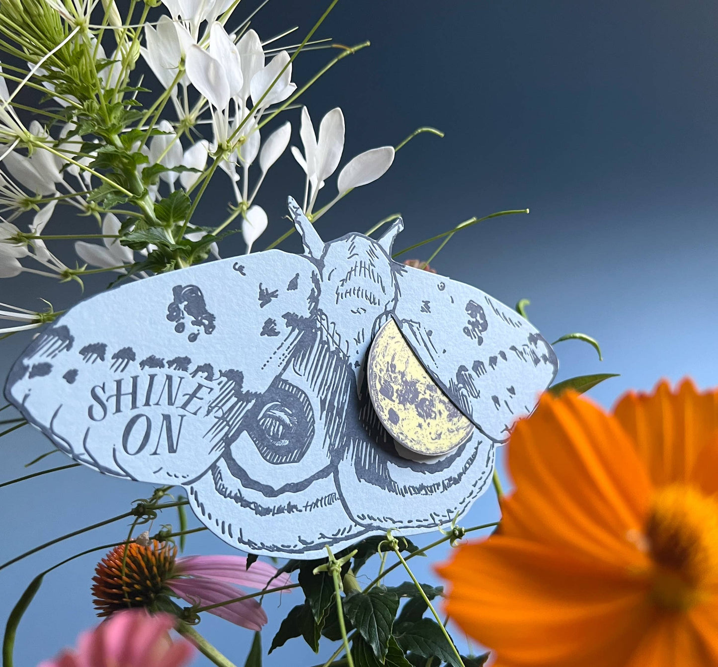 Io moth shine on gift card