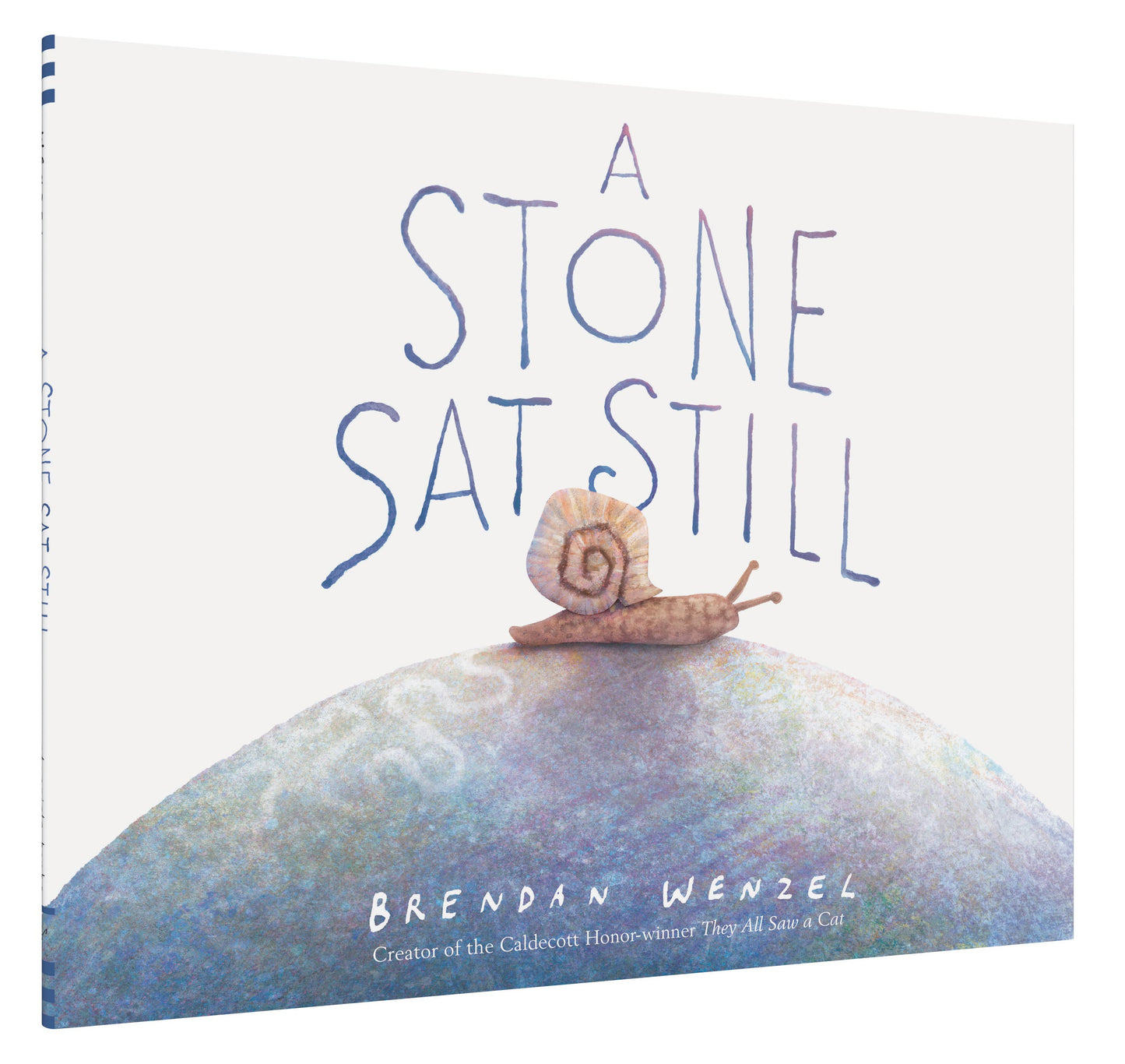 A Stone Sat Still by Brendan Wenzel