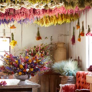 Designing with Dried Flowers by Hannah Muller (Hardcover)