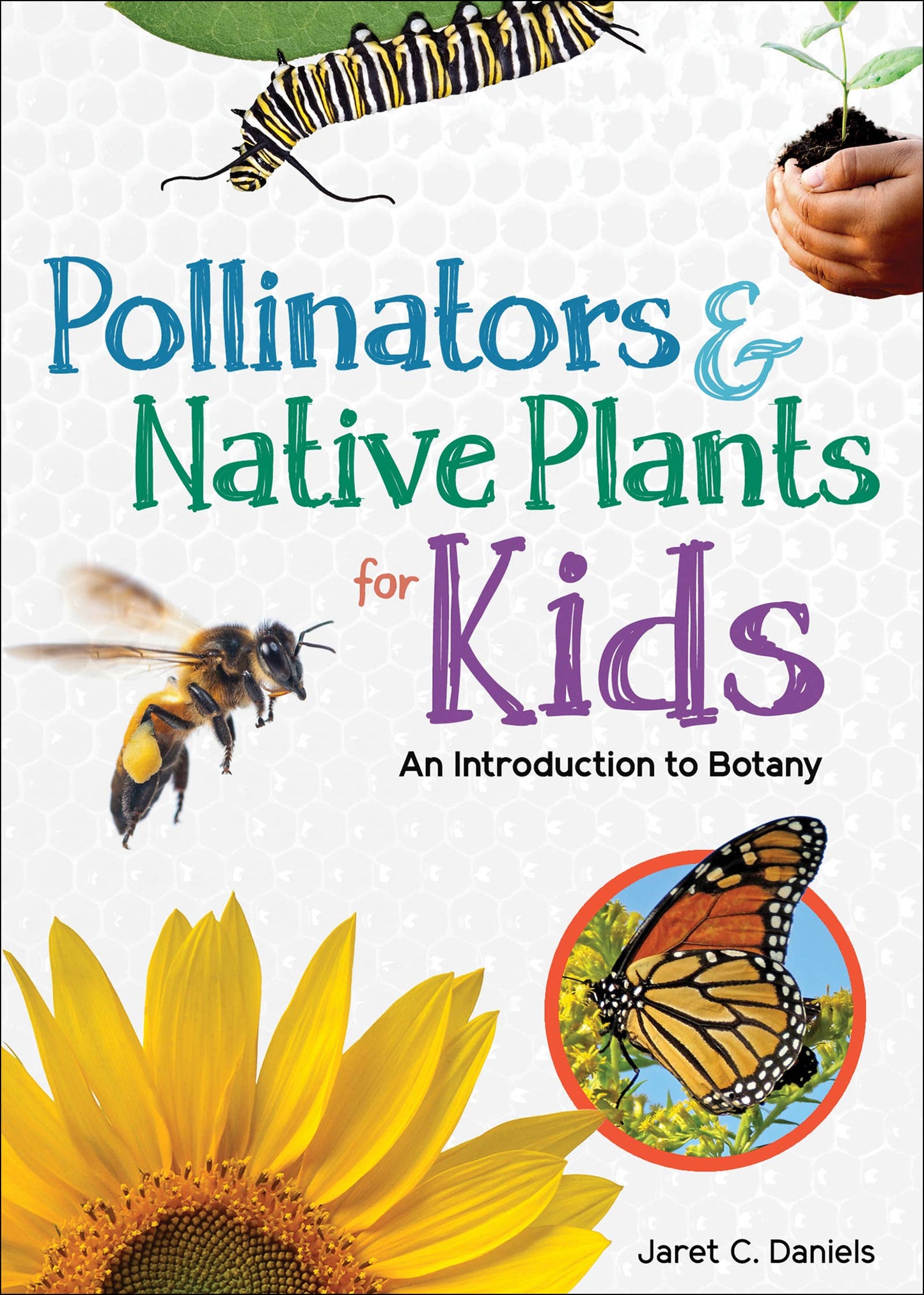 Pollinators & Native Plants for Kids