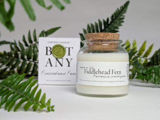 Botany ~ Fiddlehead Fern