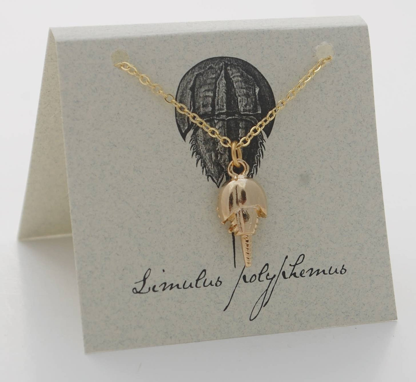 Horseshoe Crab Necklace - gold Natural History