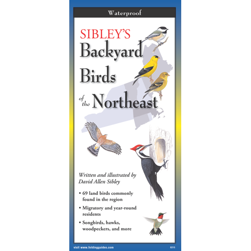 Sibley's Backyard Birds of the Northeast