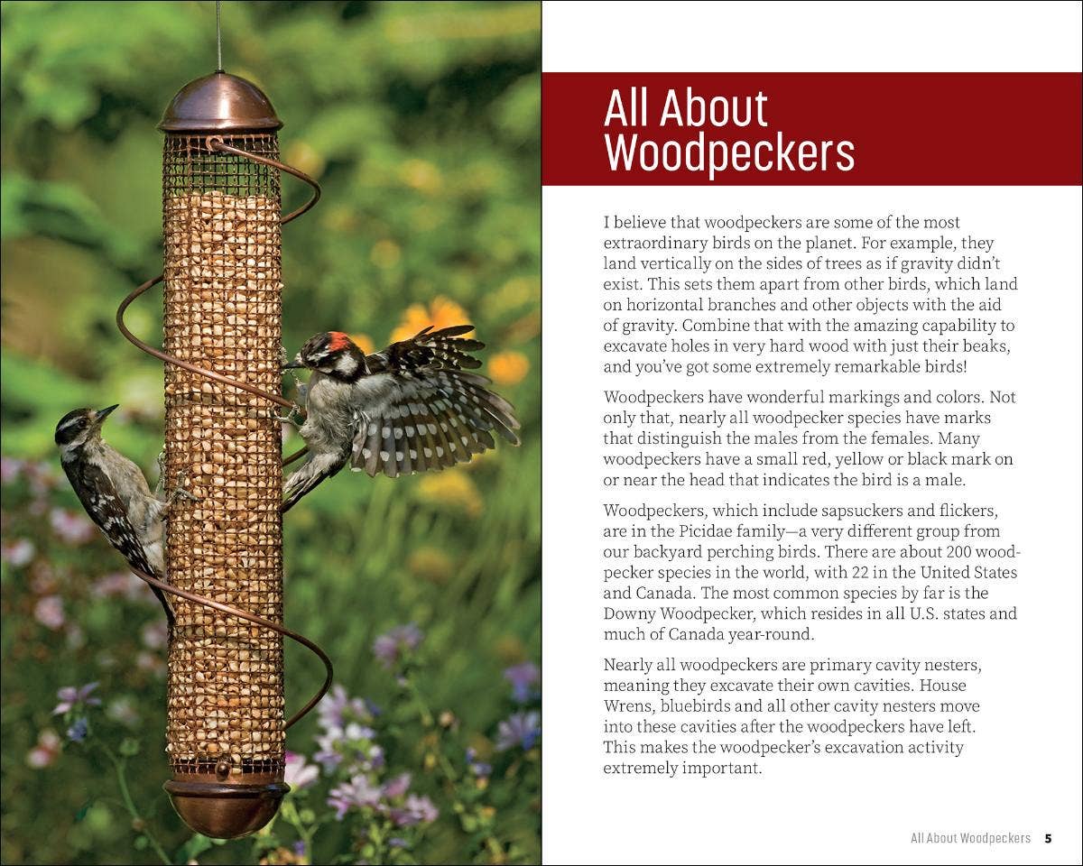 Attracting & Feeding Woodpeckers (Paperback)