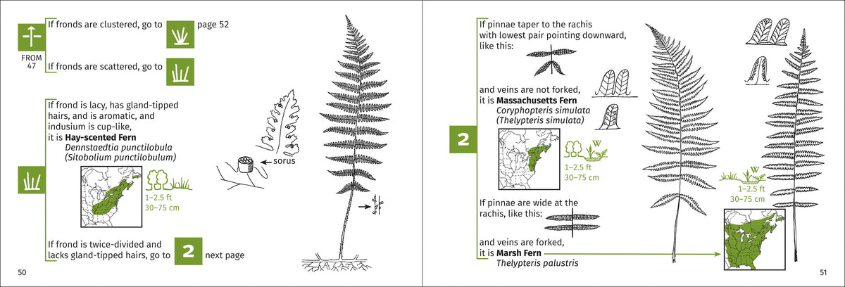 Fern Finder Eastern 3rd Edition