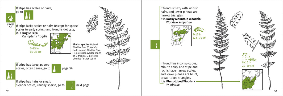 Fern Finder Eastern 3rd Edition