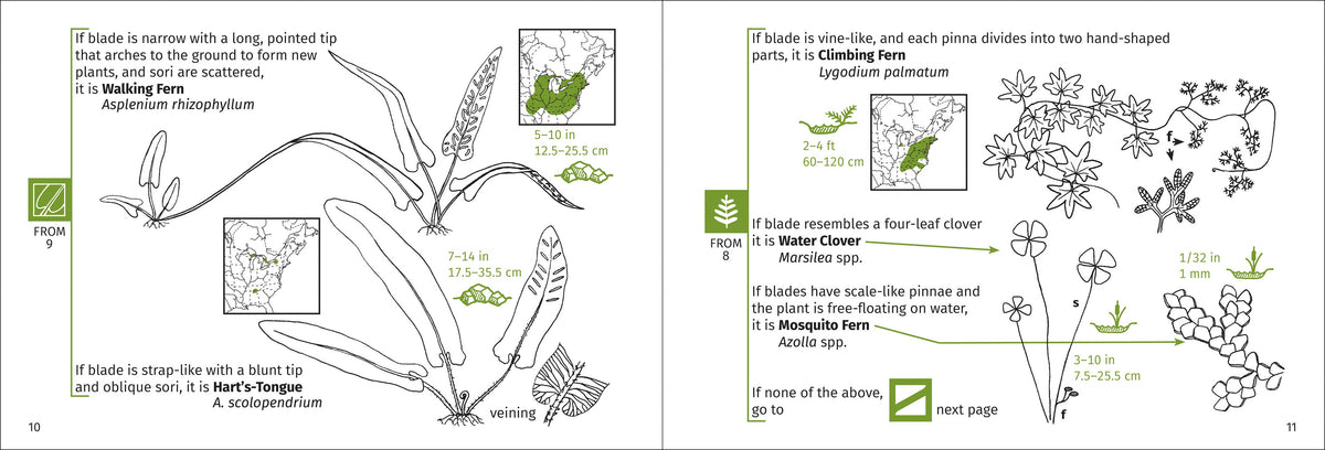 Fern Finder Eastern 3rd Edition
