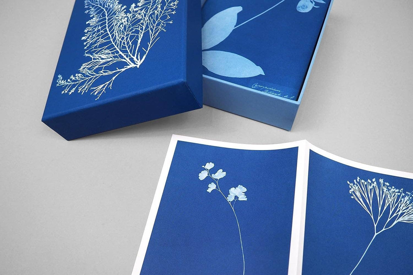 Sunprint Notecards