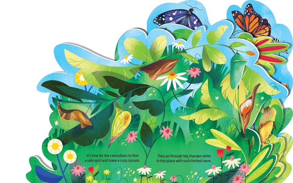 Beautiful Butterflies; Illustrated by Margarida Esteves